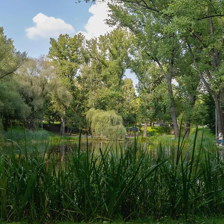 Studio Tysiaclecia Next To Park Slaski By Renters Katowice